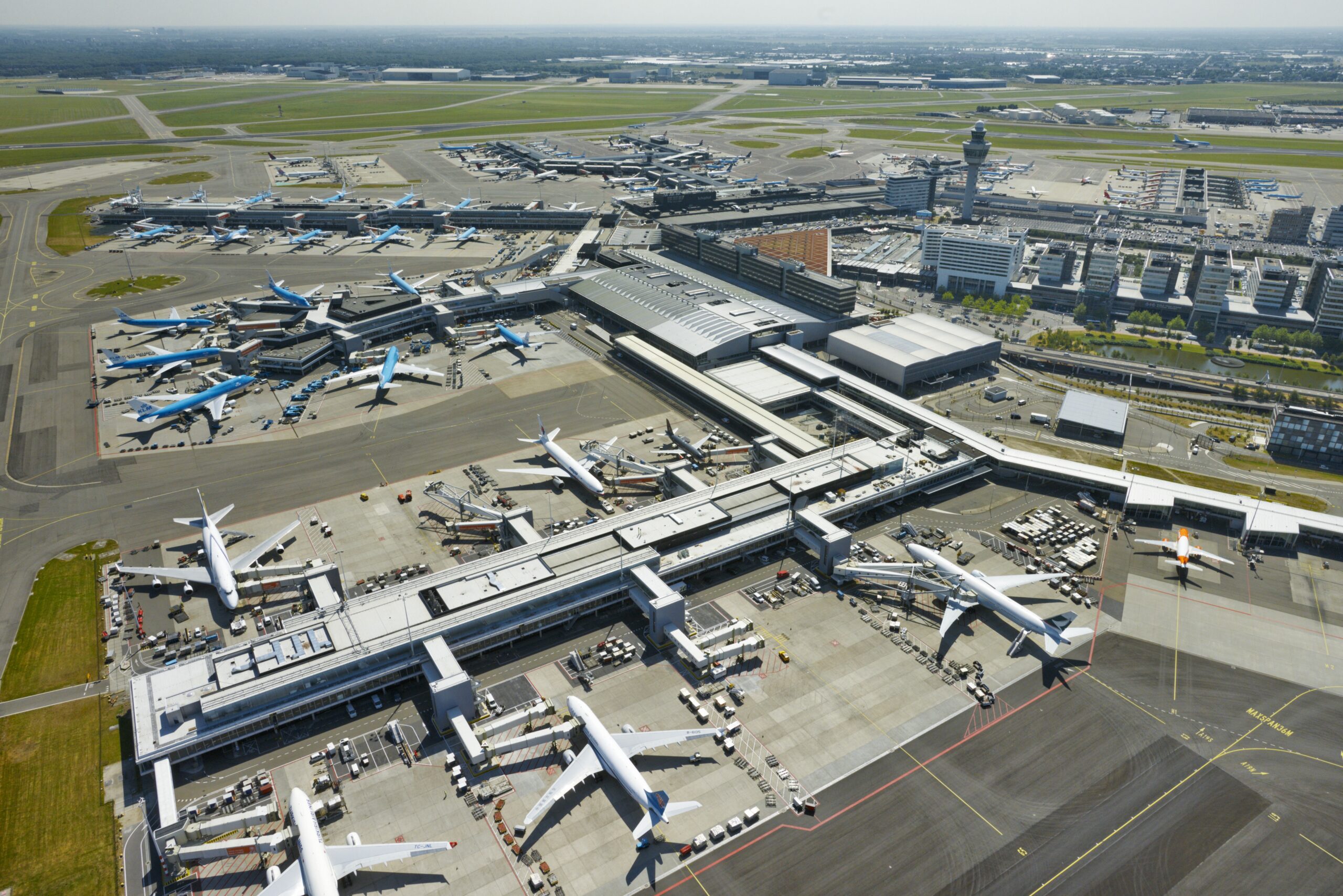JetBlue Secures Temporary Slots at Amsterdam Schiphol