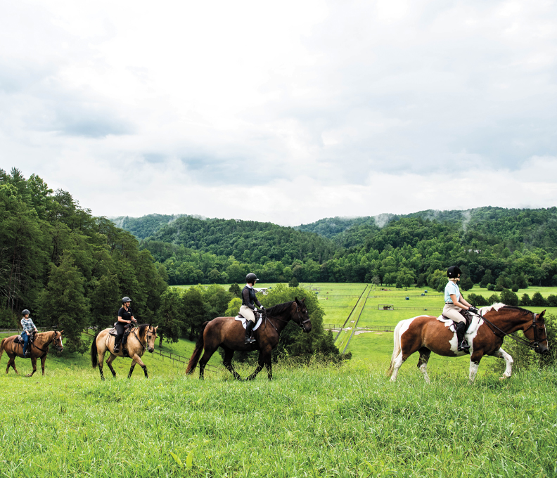 Resorts Are Promoting the Wellness Benefits of Equine Therapy