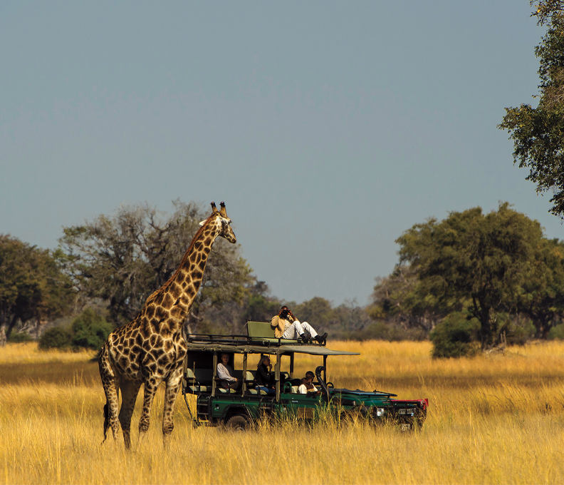 Set Up Camp at These 4 Safari Lodges in Botswana