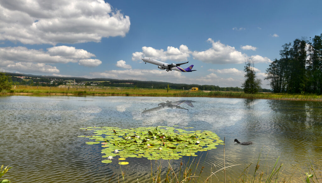 How airports are electrifying ground operations to reduce emissions